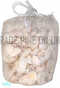 Bag of Shells